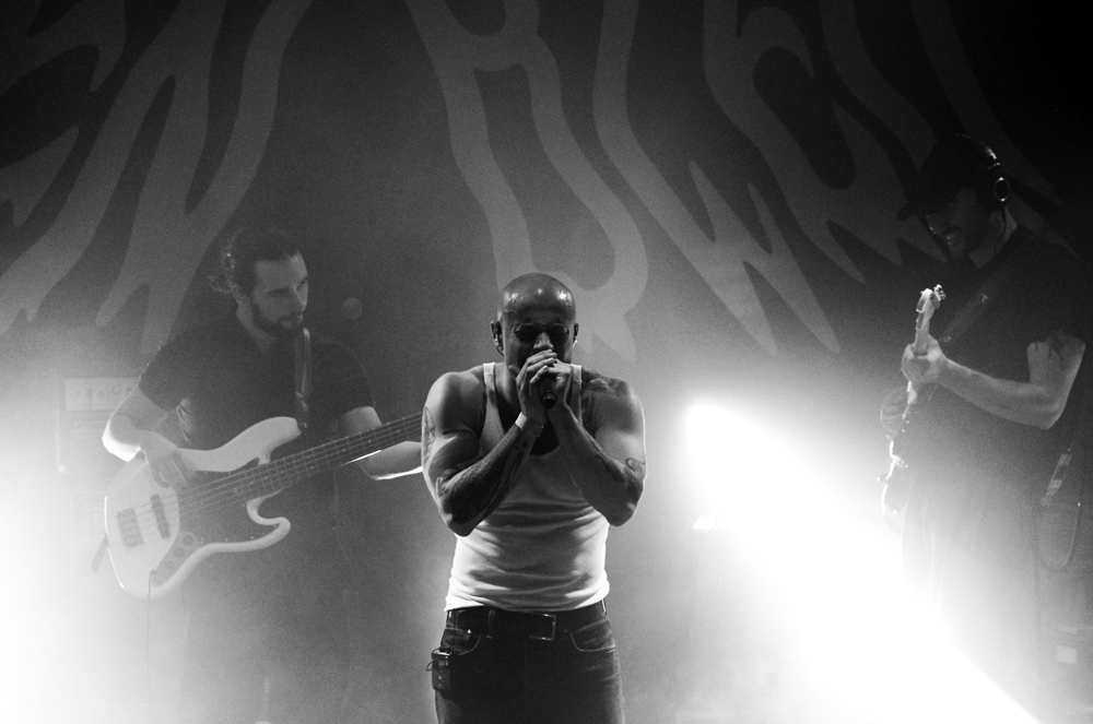 Retour en images sur le concert de Chien Bleu du 01.02.2055 au Rez-Usine par Ambre Kellache