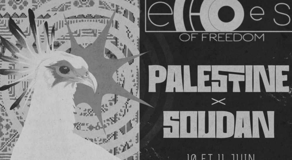 Affiche en noir et blanc d'Echoes of Freedom